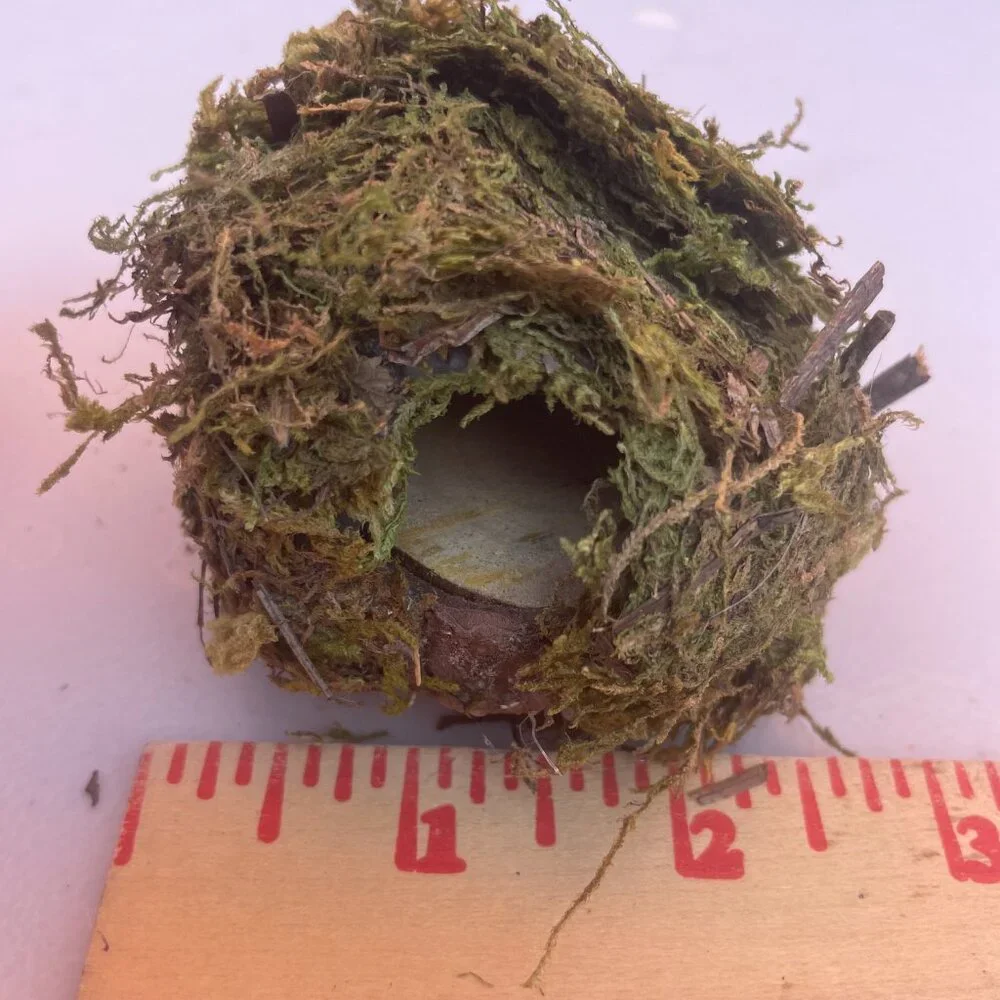 Hanging Moss Hide Spiders Jumping Spiders Insects Magnetic Stays on Enclosure